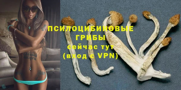 ПСИЛОЦИБИНОВЫЕ ГРИБЫ Верхнеуральск