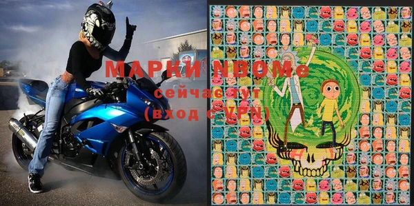 прущие грибы Вязьма