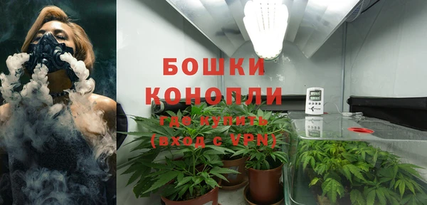 тгк Володарск